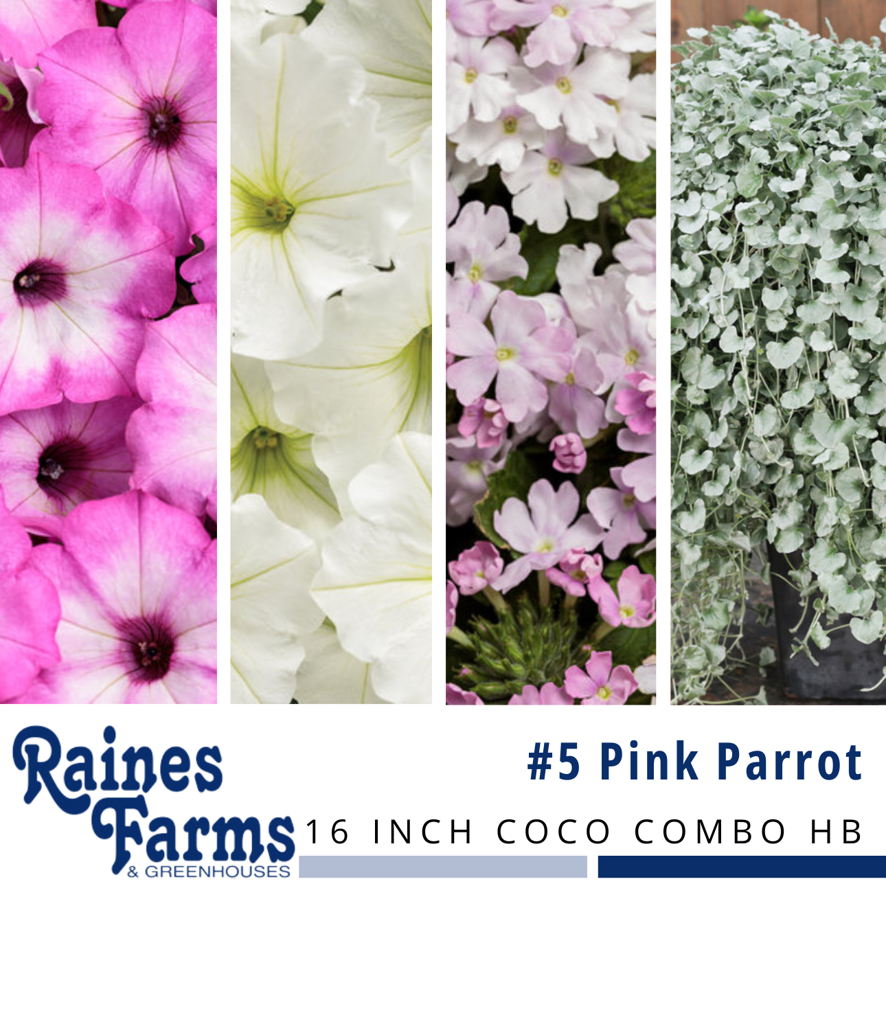 #5: Pink Parrot 16 Inch Coco Combo Hanging Basket